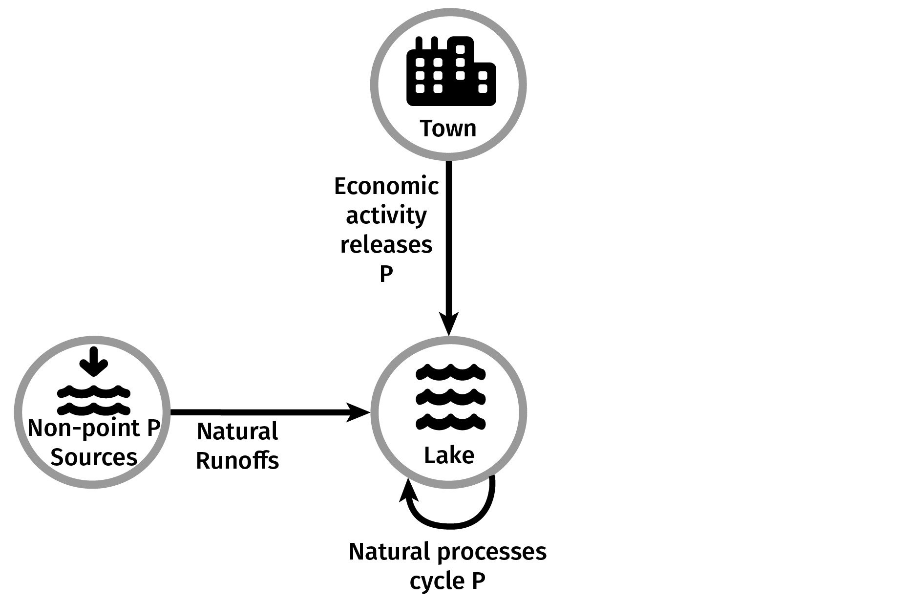 Lake Eutrophication System Interconnections